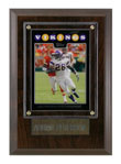 Buy 4" x 6" ADRIAN PETERSON PLAQUE at VikingsFanShop.com